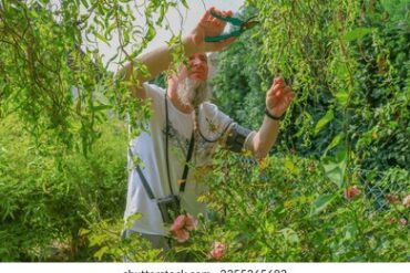 Fruit Picking in Tuen Mun New Territories