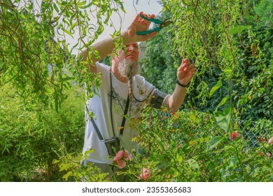 Fruit Picking in Tuen Mun New Territories