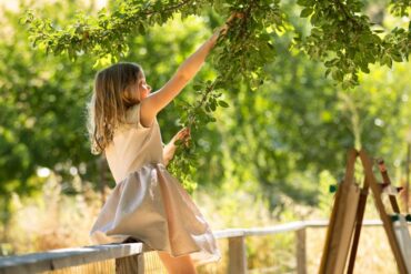 Fruit Picking in Vacaville California