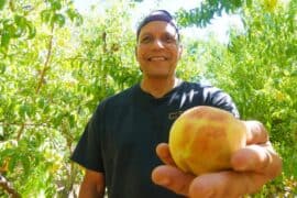 Fruit Picking in Victorville California