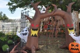 Halloween in Abilene Texas