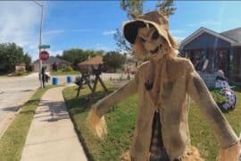 Halloween in Leander Texas