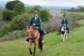 Horse Riding in Alameda California