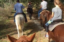 Horse Riding in Albany Georgia