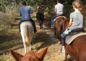 Horse Riding in Albany Georgia