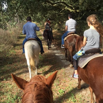 Horse Riding in Albany Georgia