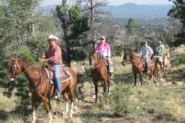 Horse Riding in Albuquerque New Mexico