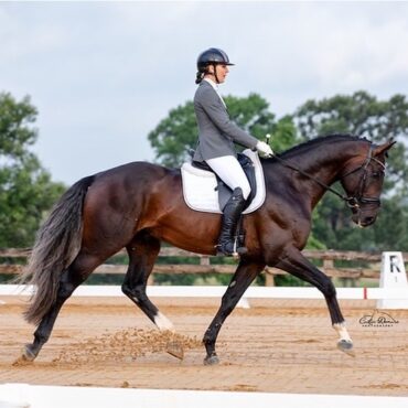 Horse Riding in Allen Texas