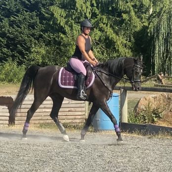 Horse Riding in Auburn Washington