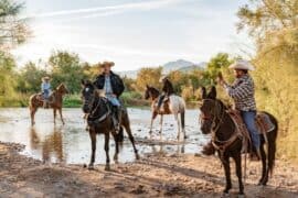 Horse Riding in Avondale Arizona