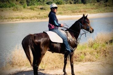 Horse Riding in Baytown Texas