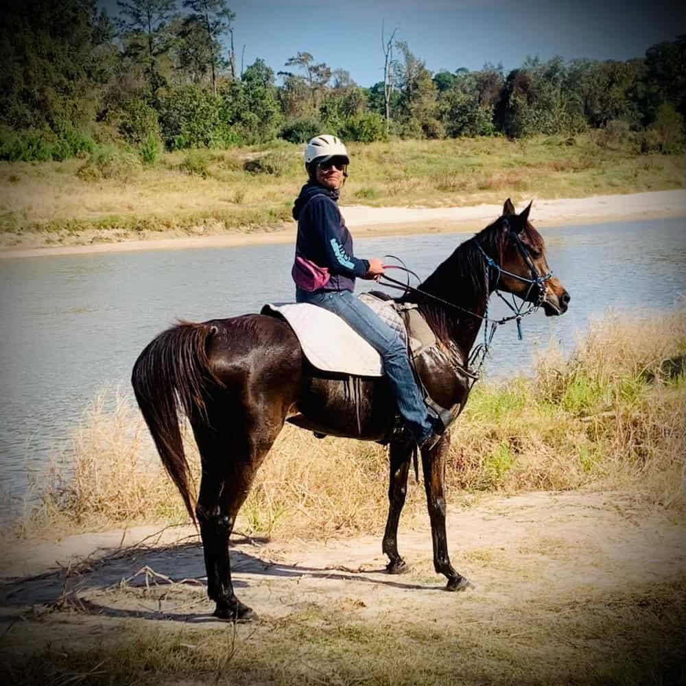 Horse Riding in Baytown Texas