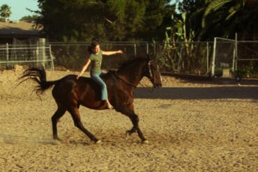 Horse Riding in Buckeye Arizona