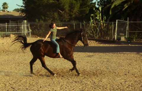 Horse Riding in Buckeye Arizona