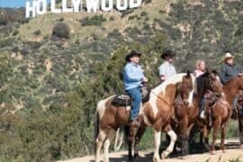 Horse Riding in Buena Park California