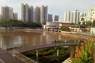 Horse Riding in Bukit Panjang