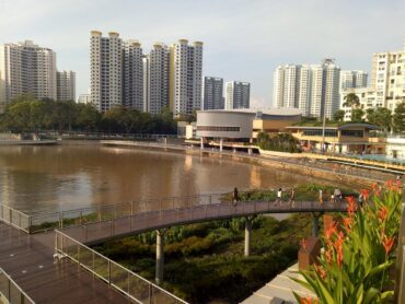 Horse Riding in Bukit Panjang