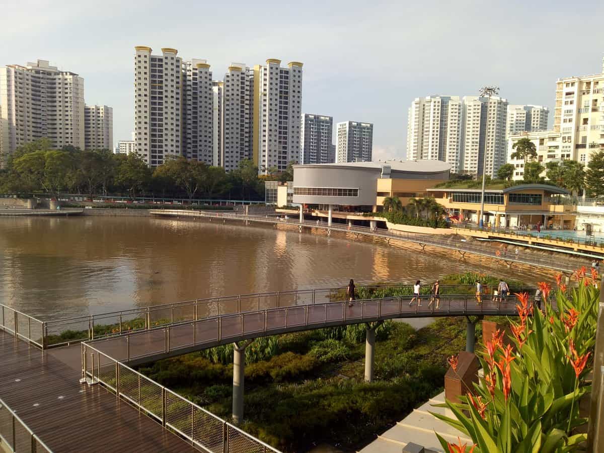 Horse Riding in Bukit Panjang