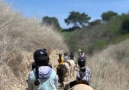 Horse Riding in Carson California