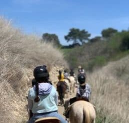 Horse Riding in Carson California