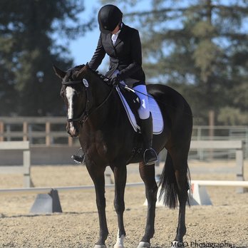 Horse Riding in Castro Valley California