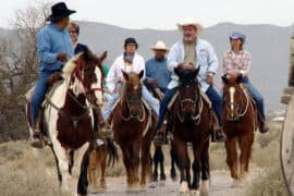 Horse Riding in Chandler Arizona