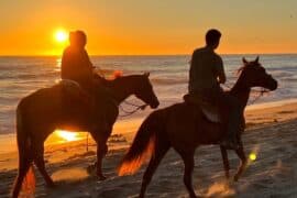 Horse Riding in Chula Vista California