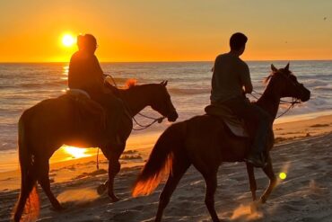 Horse Riding in Chula Vista California