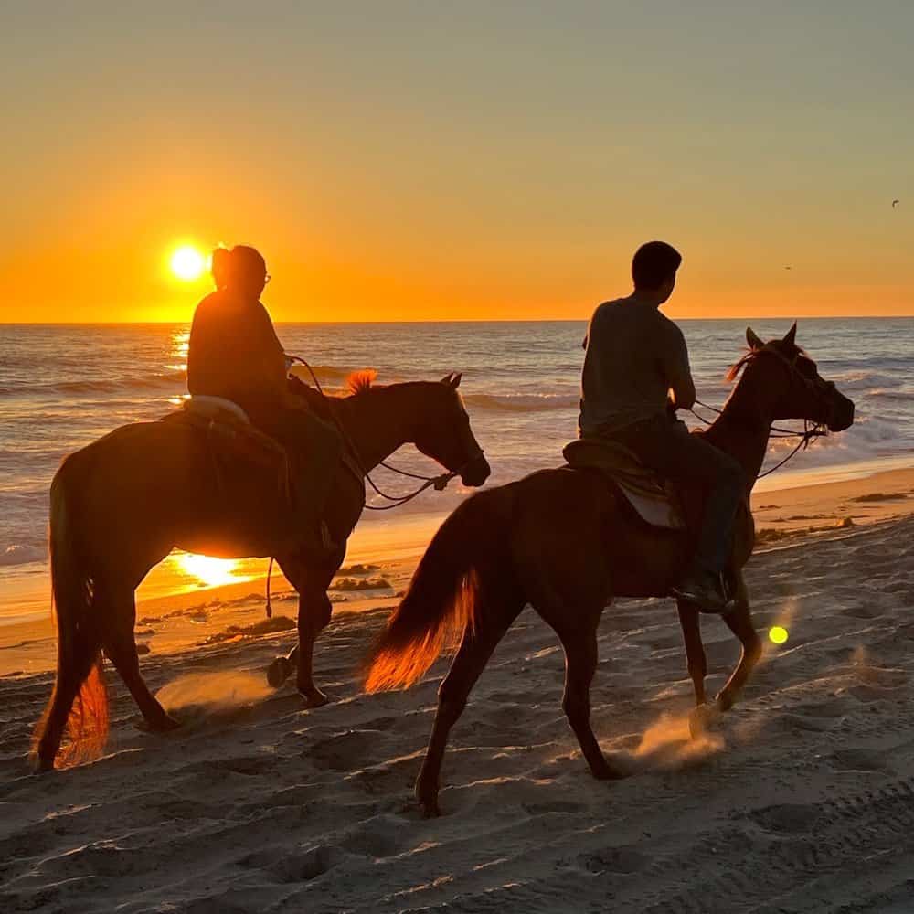 Horse Riding in Chula Vista California