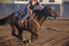 Horse Riding in Clovis California