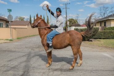 Horse Riding in Compton California