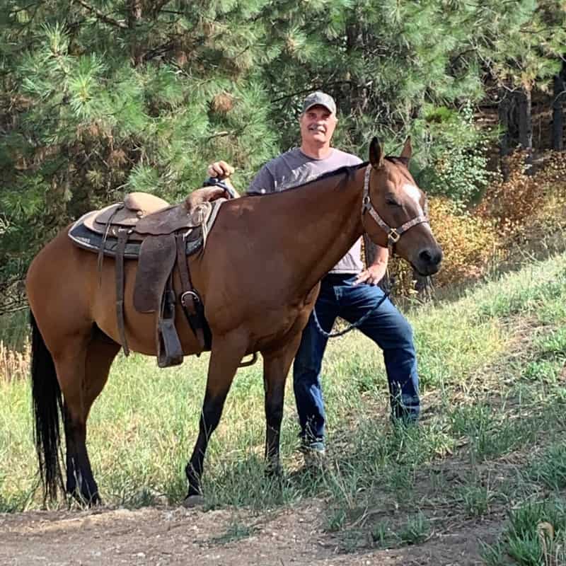 Horse Riding in Concord California