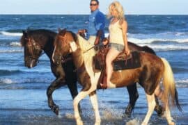 Horse Riding in Corpus Christi Texas