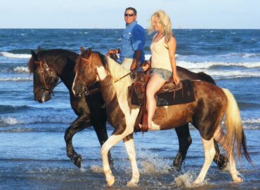 Horse Riding in Corpus Christi Texas