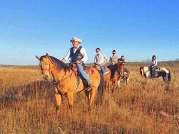 Horse Riding in Dallas Texas