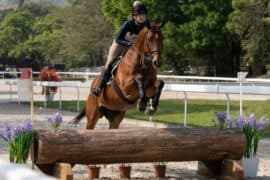 Horse Riding in Eastern Hong Kong Island