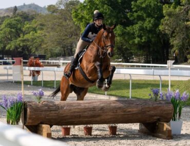 Horse Riding in Eastern Hong Kong Island