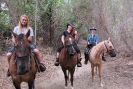 Horse Riding in Eastvale California