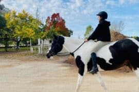 Horse Riding in Elk Grove California