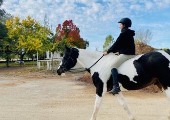 Horse Riding in Elk Grove California