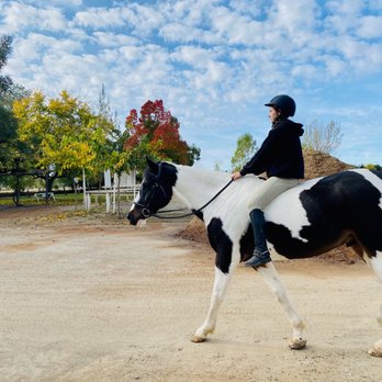 Horse Riding in Elk Grove California