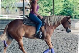 Horse Riding in Everett Washington