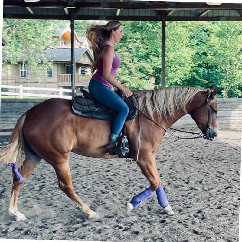 Horse Riding in Everett Washington