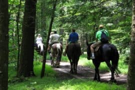 Horse Riding in Fontana California