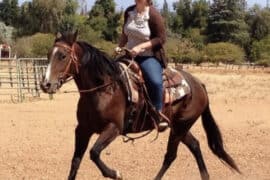 Horse Riding in Fresno California