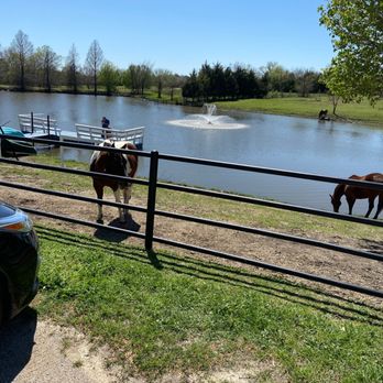 Horse Riding in Garland Texas