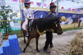 Horse Riding in Geylang