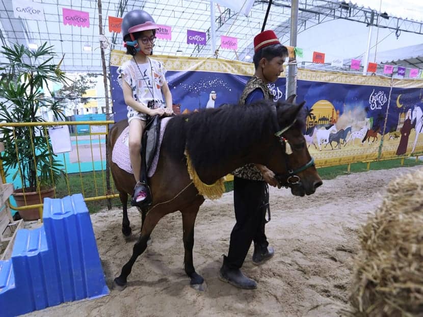 Horse Riding in Geylang