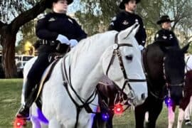 Horse Riding in Gilbert Town Arizona