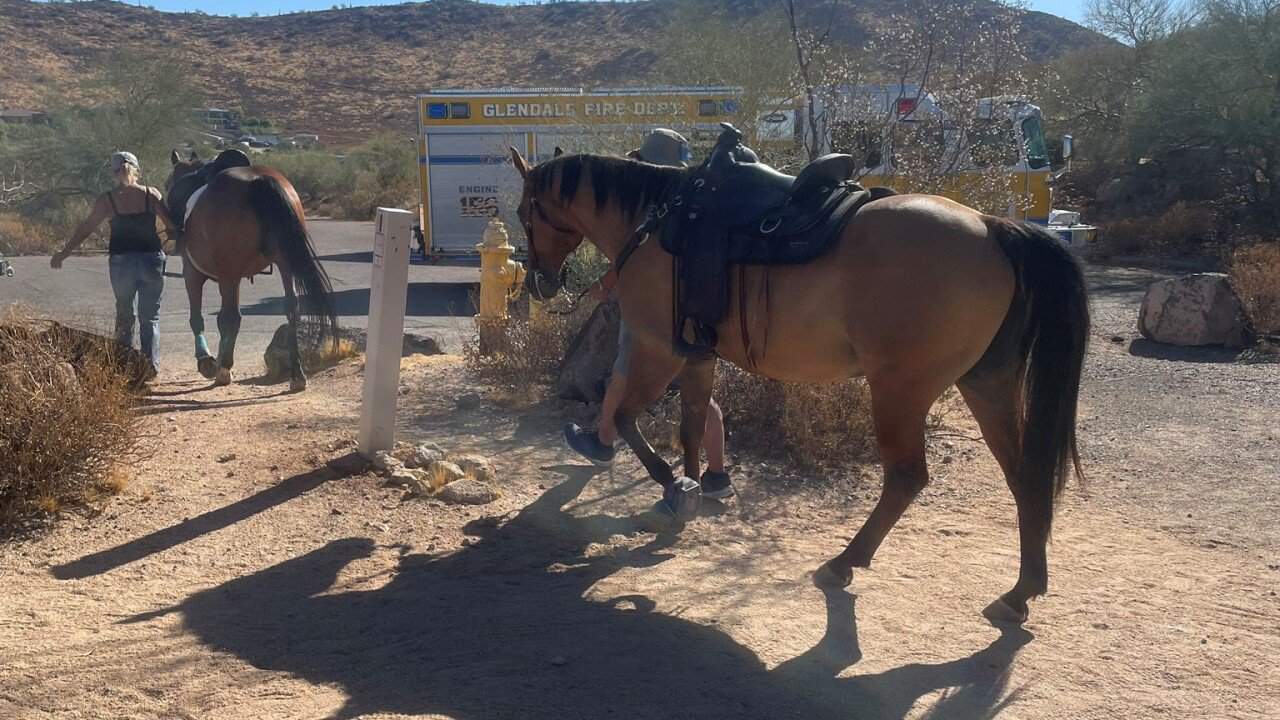 Horse Riding in Glendale Arizona